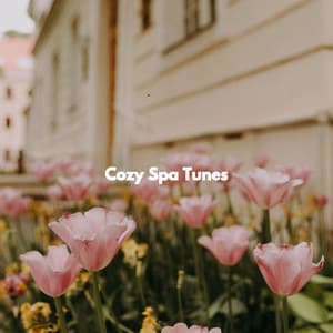 Cozy Spa Tunes - Summer Chilling Jazz