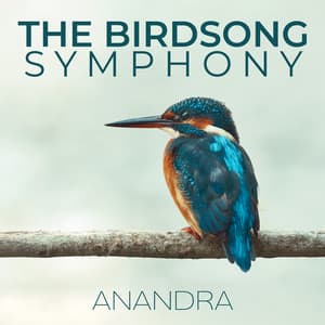 The Birdsong Symphony - Anandra