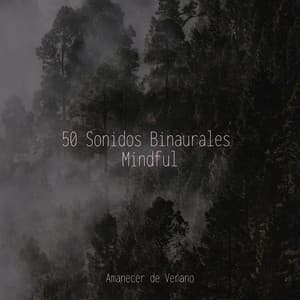 50 Sonidos Binaurales Mindful - Música para Correr