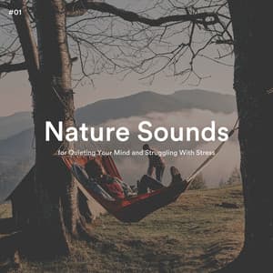 #01 Nature Sounds for Quieting Your Mind and Struggling With Stress - Organic Nature Sounds