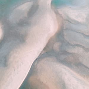 Cultured Ambiance for Night Fever - Harlem Jazz Guitar Quartet