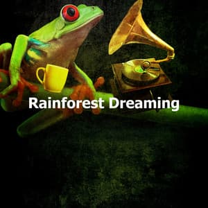 Rainforest Dreaming - Sleeping Nature Sound