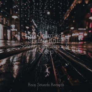 50 Calming Spring Rain Sounds for Spa & Sleep - Nature Sound Series