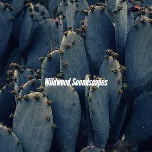 Wildwood Soundscapes - Cozy Coffee Shop Jazz