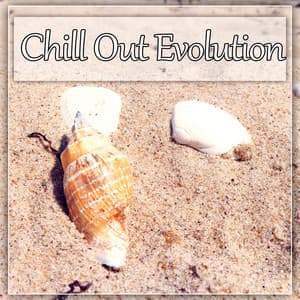 Chill Out Evolution - Ibiza Chillout for Best Party Ever, Lounge Ambient, Summer Time, New York Chillout, Asian Chill Out Music - Evening Chill Out Academy