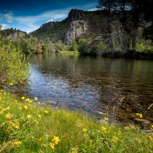 Relaxing Music: Cascading Waterside Harmony - Ultimate Sounds of Nature