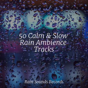 50 Calm & Slow Rain Ambience Tracks - Musica de Relajación Academy