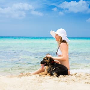 Ocean's Dog Serenade: Chill Sounds for Contentment - Waves Radio 1