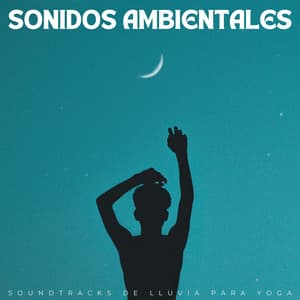 Sonidos Ambientales: Soundtracks De Lluvia Para Yoga - Paz Interior