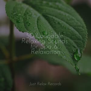 50 Loopable Relaxing Sounds for Spa & Relaxation - Meditation