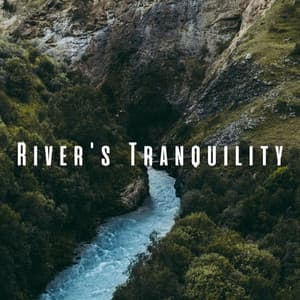 River's Tranquility: Chill Music for Relaxing Dogs - Water Science