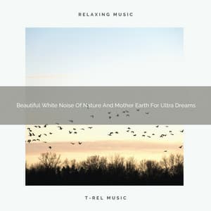 Beautiful White Noise Of Nature And Mother Earth For Ultra Dreams - The Noise Project