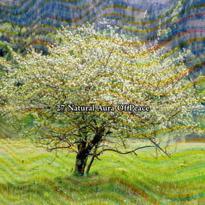 27 Natural Aura Of Peace - Nature Sounds - Sons de la nature