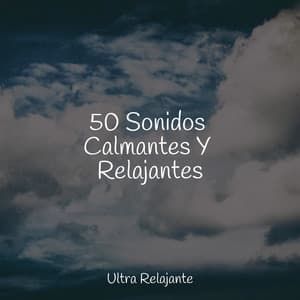 50 Sonidos Calmantes Y Relajantes - Dormir Sol
