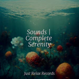 Sounds | Complete Serenity - Rockabye Lullaby