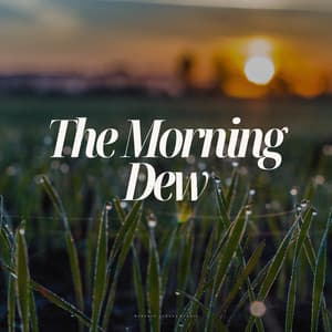 The Morning Dew - Relaxing Harp Music