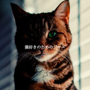 猫好きのためのジャズ - Calming Jazz Lounge