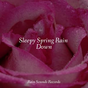 Sleepy Spring Rain Down - Ambiente