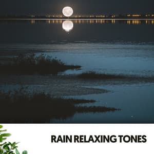 Rain Relaxing Tones: Serenade of Showers - Relajacion
