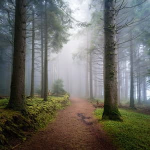 Music For Finding Peace In The Gentle Rhythms Of The Hidden World - Relax Peaceful Piano