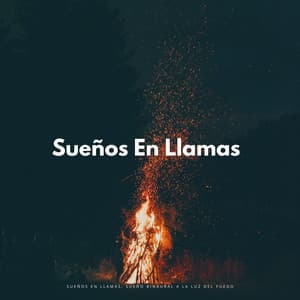 Sueños En Llamas: Sueño Binaural A La Luz Del Fuego - Ritmos Binaurales Sueño Profundo