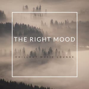 The Right Mood - Chillout Music Lounge