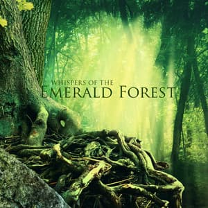 Whispers of the Emerald Forest: Medieval Celtic Music with Sounds of Nature, Celtic Harp - Celtic Nation
