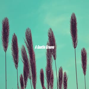 A Gentle Groove - Cena Jazz