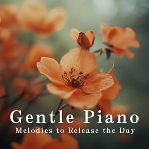Gentle Piano Melodies to Release the Day - Relaxing Piano Crew