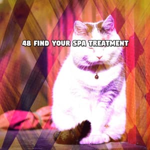 48 Find Your Spa Treatment - Total Relax Zone