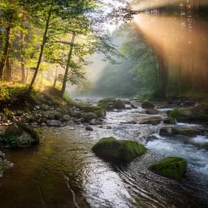 The Serenity Electronic Music: Music For Deep Relaxation - Binaural Calm Heal Great