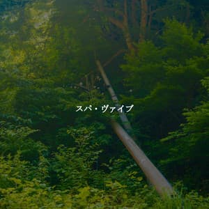 スパ・ヴァイブ - Jazz Chill Out Lounge