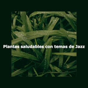 Plantas saludables con temas de Jazz - Chill Out Jazz Dream