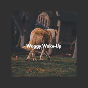 Waggy Wake-Up - Jazz for Dogs