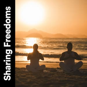 Sharing Freedoms - Paz Interior