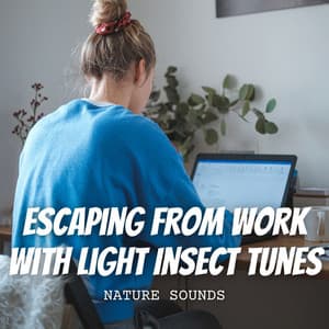 Nature Sounds: Escaping from Work with Light Insect Tunes - Epic Nature Sounds