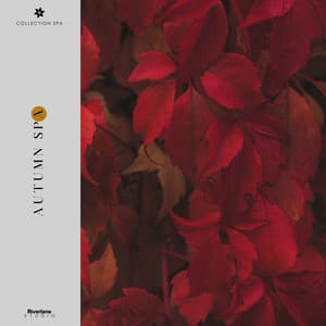 Autumn Spa - Collection Spa