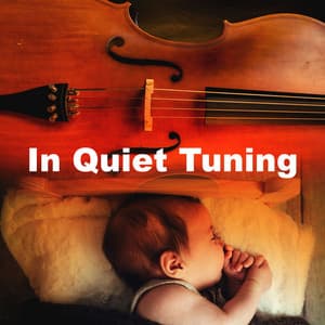 In Quiet Tuning - Lewis Owen Heath