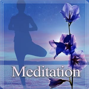 Meditation – Soothing Sounds for Meditation, Water & Nature Sounds, Waterfall, Meditation Place - Pure Meditation Collection