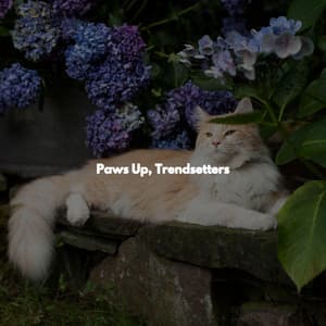 Paws Up, Trendsetters - After Work Jazz Moods