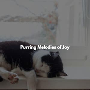 Purring Melodies of Joy - Smooth Morning Jazz