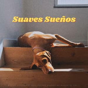 Música Relajante Para Suaves Sueños De Mascotas Vol.1 - La mejor musica instrumental
