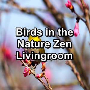 Birds in the Nature Zen Livingroom - Nature Bird Sounds