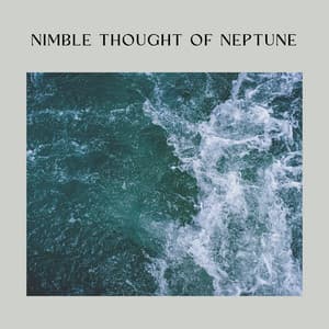 Nimble Thought of Neptune - Nature Of Sweden