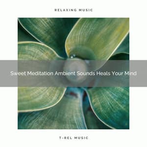Sweet Meditation Ambient Sounds Heals Your Mind - Timeless Relax