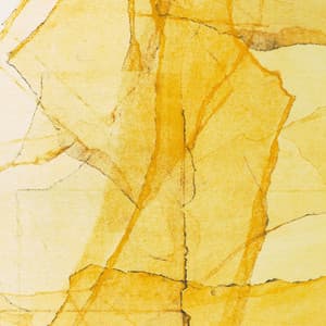 Central Park‘s Mosaics of Reservoir, Lake, Paths and Gardens - Wadada Leo Smith
