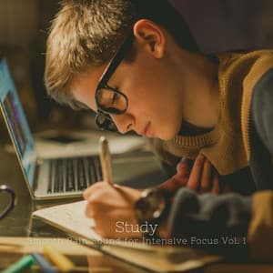 Study: Smooth Rain Sound for Intensive Focus Vol. 1 - Sonic Whales