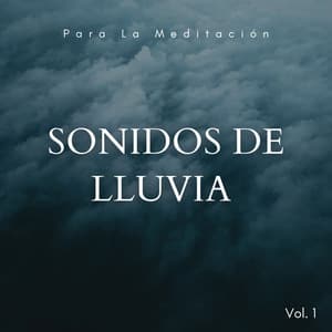 Sonidos De Lluvia Placenteros Para La Meditación Vol. 1 - Medi Rela