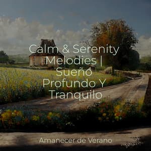 Calm & Serenity Melodies | Sueño Profundo Y Tranquilo - Canciones Infantiles