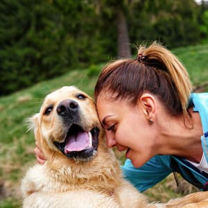 Lofi Pet Sanctuary: Ethereal Melodies Enveloping Cherished Moments - Low fi Beats